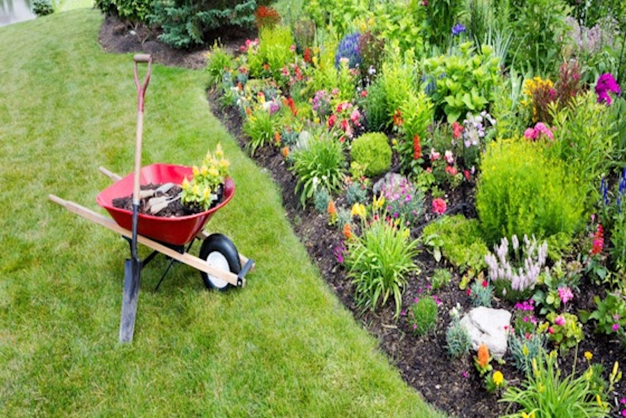 Masuku Property Services