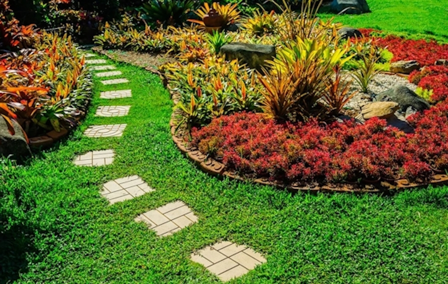 Masuku Property Services