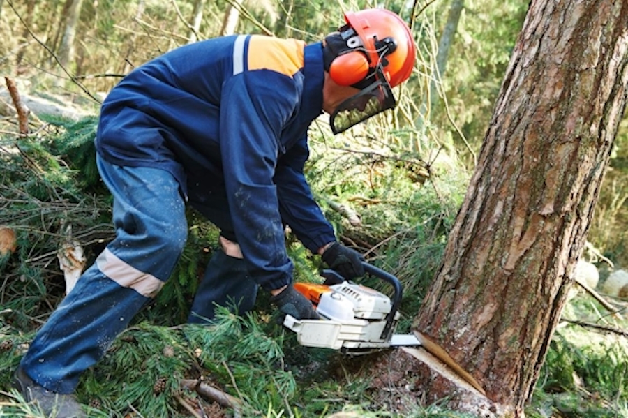 Masuku Property Services